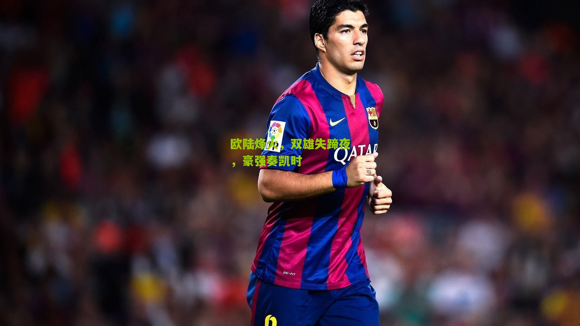 欧陆烽火，双雄失蹄夜，豪强奏凯时