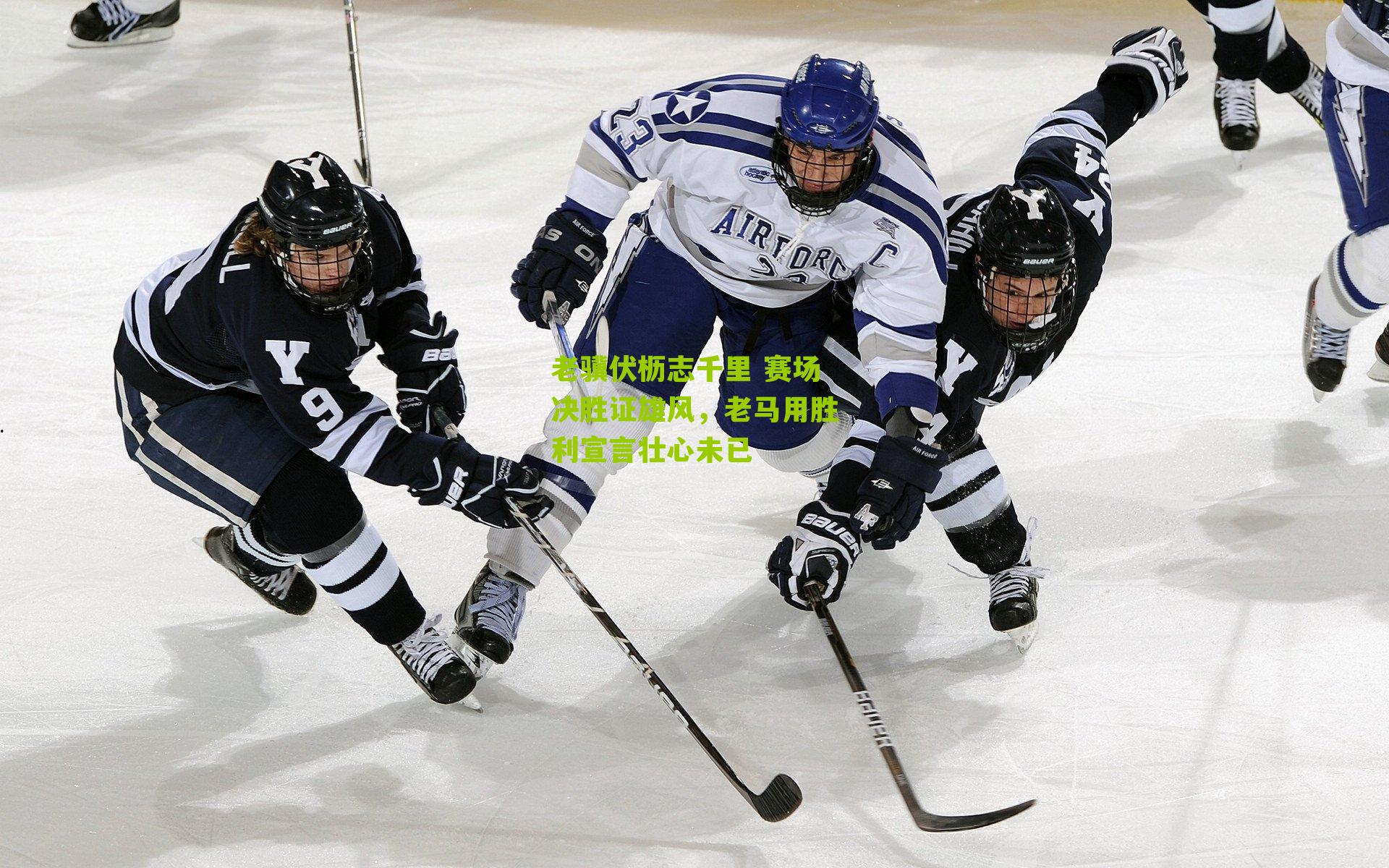 老骥伏枥志千里 赛场决胜证雄风，老马用胜利宣言壮心未已